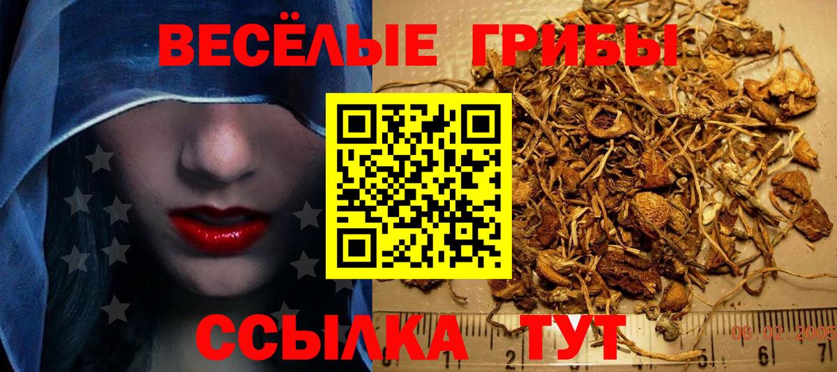 Курган  Галлюциногенные грибы мицелий  Вход с VPN  Псилоцибиновые грибы MAGIC MUSHROOMS 